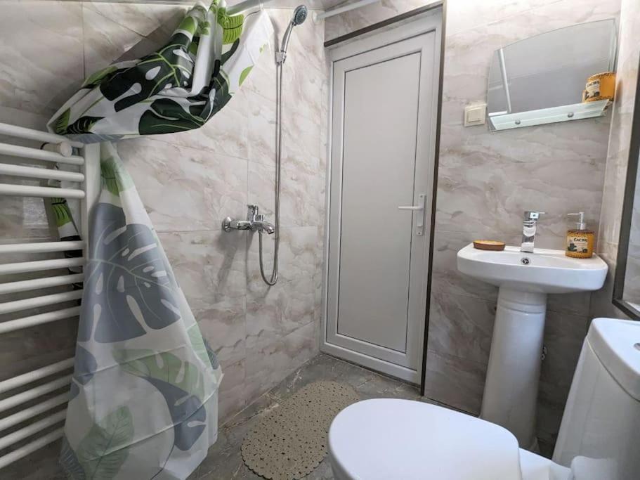 Unforgettable Attic With Balcony In Borjomi Apartment Екстериор снимка